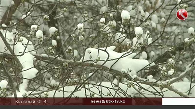 На юге и юго-востоке аномально для этого времени года похолодает