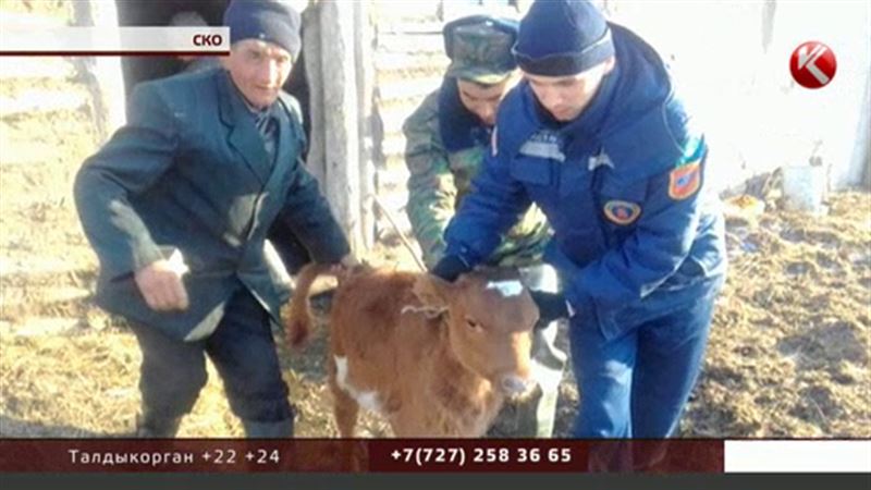 Из деревень в СКО заранее эвакуируют всё живое