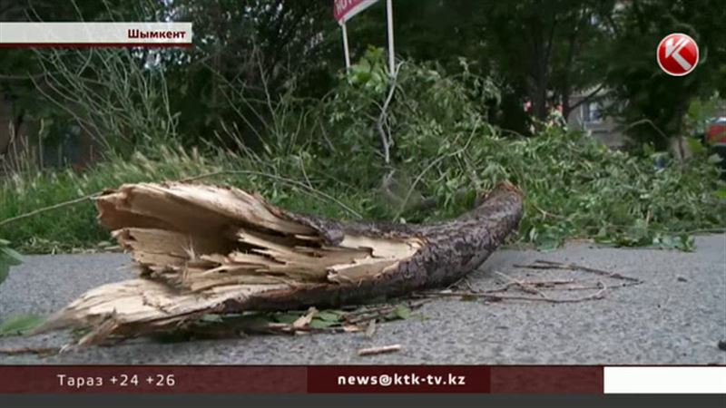 В Южно-Казахстанской области устраняют последствия сильнейшего урагана