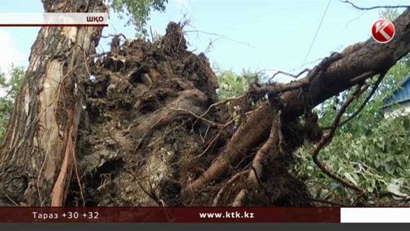 Шығыс Қазақстан облысындағы дүлей дауылдың шығыны есептеліп жатыр