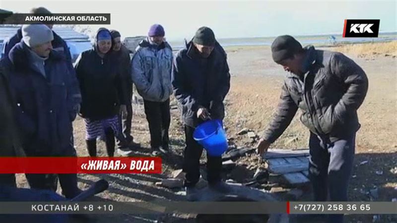 «Ёкарный бабай»: вода, которую пьют в Акмолинской области, кишит лягушками