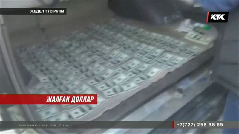 Алматыда жалған доллар жасағандар ұсталды  