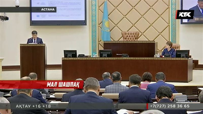 Туризмге қыруар қаржының бөлінуі сенаторлардың ашуын туғызды