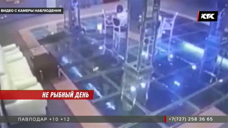 Воришка уволок живого осетра прямо из ресторана