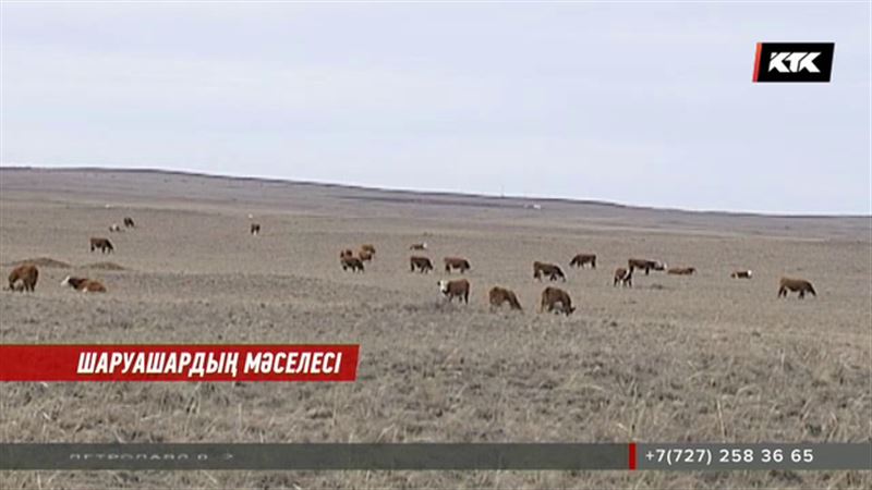 Ауыл шаруашылығы өнімдерінің бағасын реттеу үшін заңға өзгеріс енгізілуі мүмкін