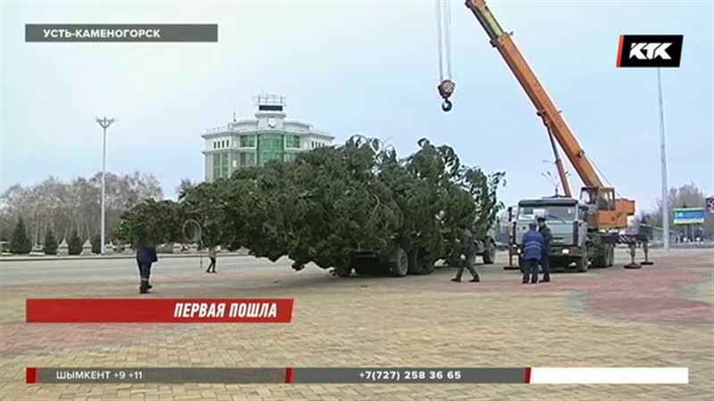 Новогоднюю елку уже установили в Усть-Каменогорске 