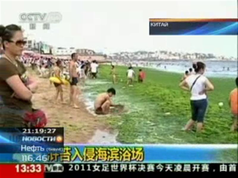 Китайцы купаются в воде с водорослями