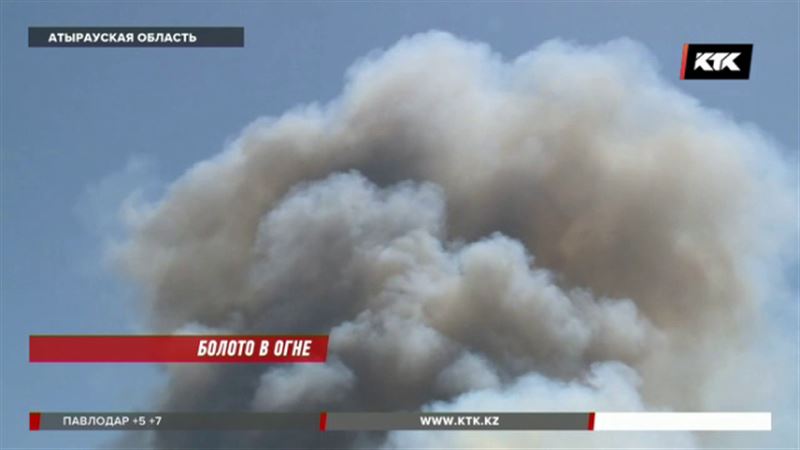 В Атырауской области полыхает заповедник