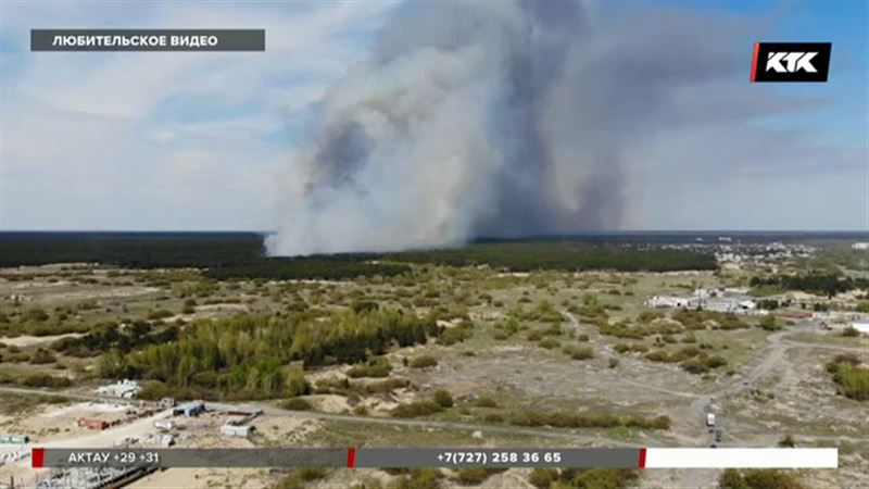 Поджог мог стать причиной масштабного пожара в «Семей орманы»