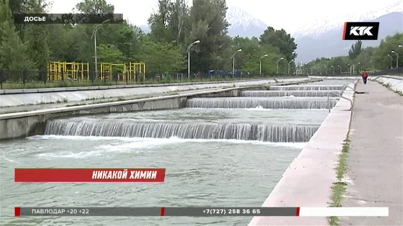 В водах Алматинки никакой химии нет