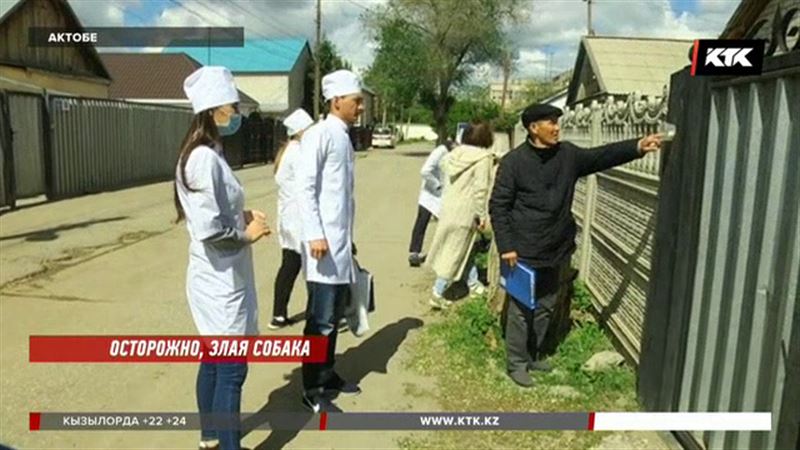 Актюбинские кошки и собаки «не желают» прививаться