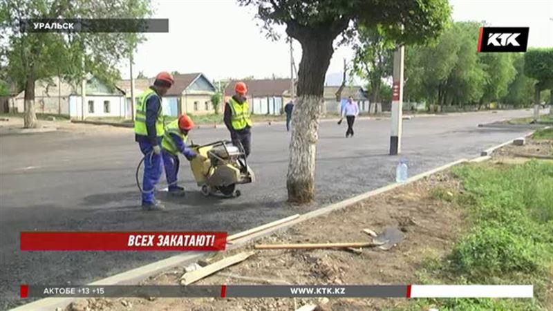 Уральские рабочие закатали в асфальт придорожные деревья