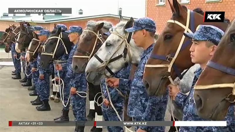 Патрулировать Боровое будут на лошадях