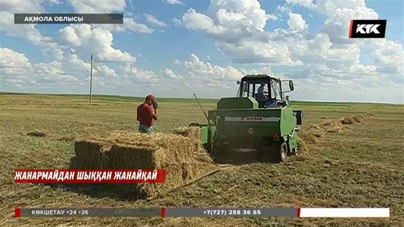 Елімізде астық ору науқаны таяған шақта дизель отыны қымбаттап кетті